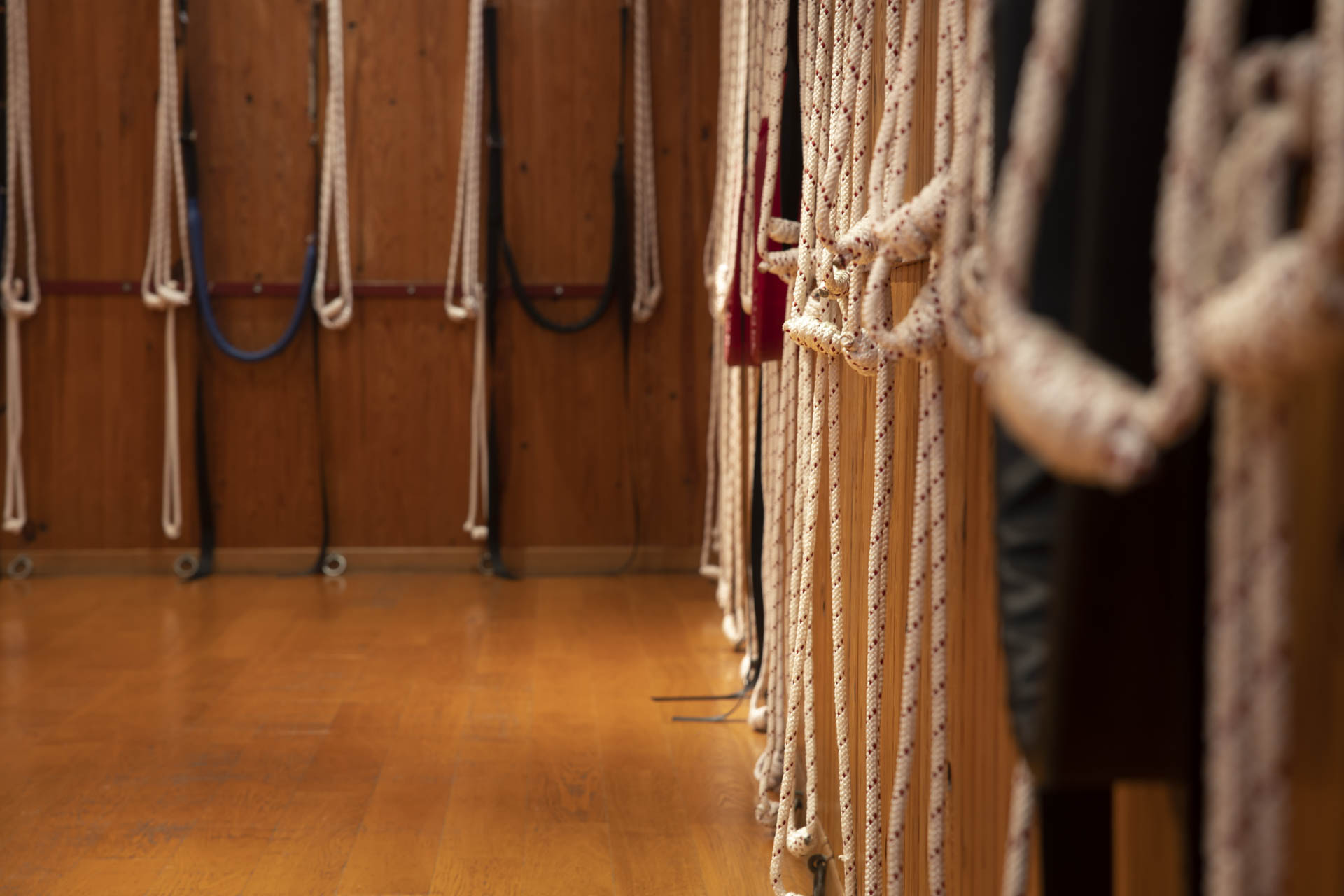 cours de yoga iyengar